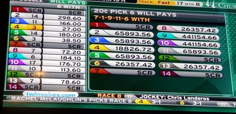 Results of a horse race featuring names, odds, and payouts for top picks.